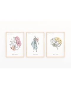 Quadro Decorativo Anatomia Humana, decoração casa Quadro Decorativo Medicina Minimalista tamanho grande Decoração para sala casa cozinha quarto Quadro decorativo Corpo Humano abstrata Moderno Decoração Corpo Humano Retro arte #40