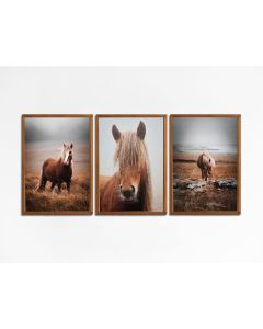 Quadro Decorativo cavalo Amimais  , decoração casa Quadro Decorativo Cavalo tamanho grande Decoração