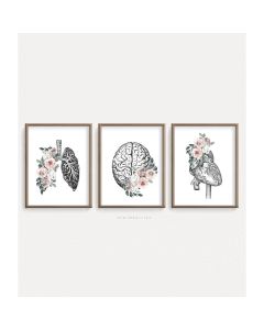 Quadro Decorativo Anatomia Humana, decoração casa Quadro Decorativo Medicina Minimalista tamanho grande Decoração para sala casa cozinha quarto Quadro decorativo Corpo Humano abstrata Moderno Decoração Corpo Humano Retro arte #25