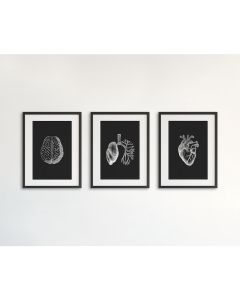 Quadro Decorativo Anatomia Humana, decoração casa Quadro, Preto e branco, coração