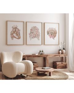 Quadro Decorativo Anatomia Humana, decoração casa Quadro, floral, Cerebro, coração, tórax
