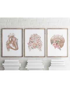Quadro Decorativo Anatomia Humana, decoração casa Quadro Decorativo Medicina Minimalista tamanho grande Decoração para sala casa cozinha quarto Quadro decorativo Corpo Humano abstrata Moderno Decoração Corpo Humano Retro arte #06