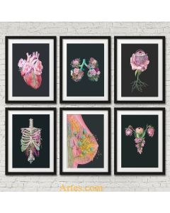 Quadro Decorativo Anatomia órgãos humanos pinturas na parede nordic arte imagem impressão pvc poster pp cola à prova dwaterproof água decoração de casa adesivo