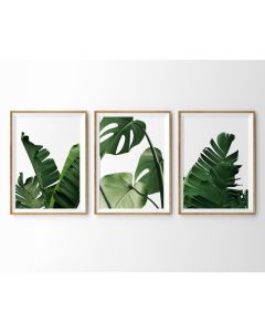 Quadro Decorativo Folhas Tropical Botânico minimalista , decoração casa Quadro Decorativo Tropical