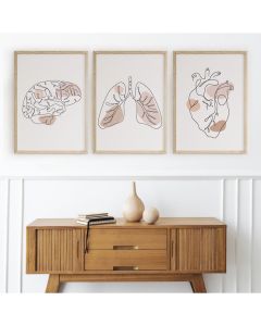 Quadro Decorativo Anatomia Humana, decoração casa Quadro Decorativo. coração, pulmao. cerebro