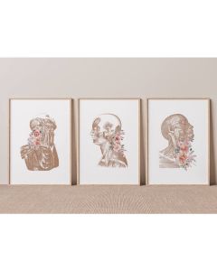 Quadro Decorativo Anatomia Humana, decoração casa Quadro Decorativo Medicina Minimalista tamanho grande Decoração para sala casa cozinha quarto