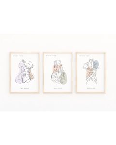 Quadro Decorativo Anatomia Humana, decoração casa Quadro Decorativo Medicina Musculo