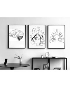 Quadro Decorativo Anatomia Humana, decoração casa Quadro Decorativo Medicina Minimalista tamanho grande Decoração para sala casa cozinha quarto Quadro decorativo Corpo Humano abstrata Moderno Decoração Corpo Humano Retro arte #19