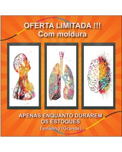 Quadro decorativo com moldura anatomia humana músculos Conjunto de Quadros anatomia humana