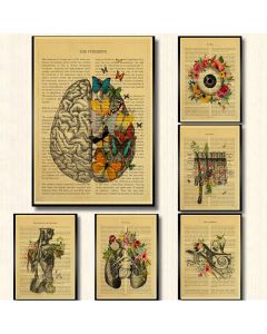 Quadro decorativo Anatomia floral coração cérebro órgãos médicos cartaz  decoração, Corpo humano