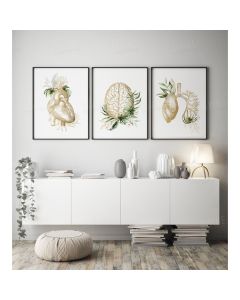 Quadro Decorativo Anatomia Humana, decoração casa Quadro Decorativo Medicina Minimalista tamanho grande Decoração para sala casa cozinha quarto Quadro decorativo Corpo Humano abstrata Moderno Decoração Corpo Humano Retro arte #35