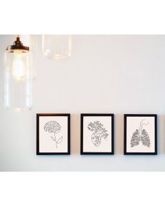 Quadro Decorativo Anatomia Humana, decoração casa Quadro Decorativo Medicina Minimalista.