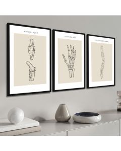 Kit 3 Quadros Anatomia Medicina Médicos Corpo Humano Kt com 3 peças, Quadro decorativo