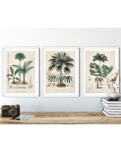 Quadro Decorativo Flores Botânico minimalista , decoração casa Quadro Decorativo Loja Minimalista tamanho grande Decoração para sala casa cozinha quarto Quadro decorativo abstrata Moderno Decoração Flores Retro arte #30