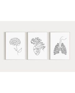 Quadro Decorativo Anatomia Humana, decoração casa Quadro Decorativo Medicina Minimalista tamanho grande Decoração para sala casa cozinha quarto Quadro decorativo Corpo Humano abstrata Moderno Decoração Corpo Humano Retro arte #12