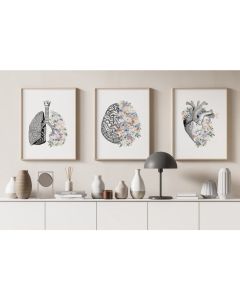 Quadro Decorativo Anatomia Humana, decoração casa Quadro Decorativo coração cerebro pulmão