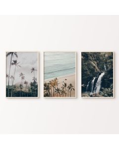 Quadro Decorativo Folhas Tropical Botânico minimalista , decoração casa Quadro Decorativo Tropical Folhas Minimalista tamanho grande Decoração para sala casa cozinha quarto Quadro decorativo abstrata Moderno Decoração Folhas Retro arte #59