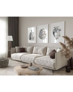 Quadro Decorativo Anatomia Humana, decoração casa Quadro Decorativo Medicina Minimalista tamanho grande Decoração para sala casa cozinha quarto  Corpo Humano Retro