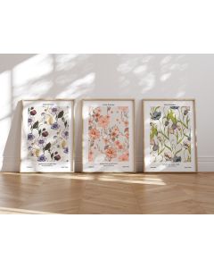 Quadro Decorativo Flores Botânico minimalista , decoração casa Quadro Decorativo Loja Minimalista tamanho grande Decoração para sala casa cozinha quarto Quadro decorativo abstrata Moderno Decoração Flores Retro arte #60