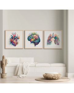 Quadro Decorativo Anatomia Humana, decoração casa Quadro Decorativo Medicina, corpo humano