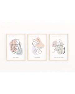Quadro Decorativo Anatomia Humana, decoração casa Quadro Decorativo Medicina Minimalista tamanho grande Decoração para sala casa cozinha quarto Quadro decorativo Corpo Humano abstrata Moderno Decoração Corpo Humano Retro arte #44