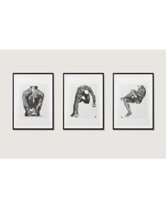 Quadro Decorativo Anatomia Humana, decoração casa Quadro Decorativo Medicina Minimalista tamanho grande
