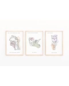 Quadro Decorativo Anatomia Humana, decoração casa Quadro Decorativo Medicina Minimalista tamanho grande Decoração para sala casa cozinha quarto Quadro decorativo Corpo Humano abstrata Moderno Decoração Corpo Humano Retro arte #45