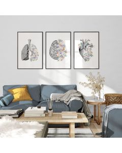 Quadro Decorativo Anatomia Humana, decoração casa Quadro Decorativo Medicina Minimalista tamanho grande Decoração para sala casa cozinha quarto Quadro decorativo Corpo Humano abstrata Moderno Decoração Corpo Humano Retro arte #29