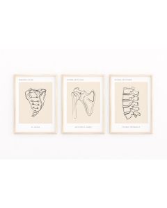 Quadro Decorativo Anatomia Humana, decoração casa Quadro Decorativo Medicina Minimalista tamanho grande Decoração para sala casa cozinha quarto Quadro decorativo Corpo Humano abstrata Moderno Decoração Corpo Humano Retro arte #18